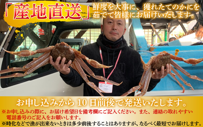 【産地直送】先行予約！　福井の冬の王様！越前がに 1.1〜1.2kg　2024年11月15日以降発送