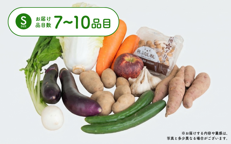 多数のメディアで紹介されました！【訳あり】旬のもったいないお野菜詰め合わせセット Sサイズ