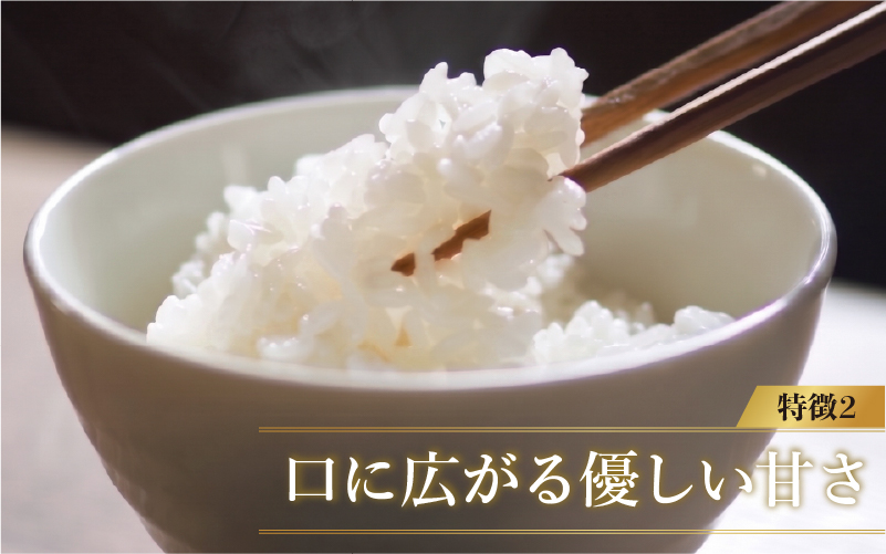 【寄付額見直し】令和7年産 いちほまれ 10kg（5kg × 2袋）×1回