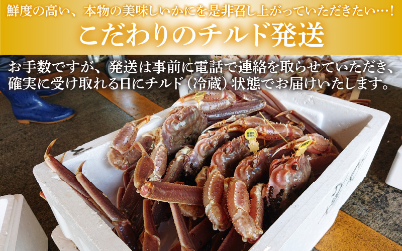 【数量限定】【産地直送】先行予約！福井冬の味覚！越前がに 極 1杯（1.45kg以上）2024年11月15日以降発送