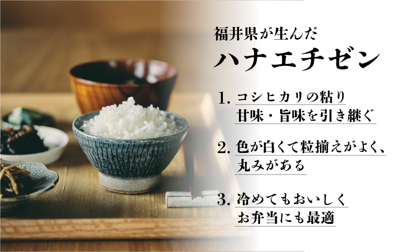 莉、蜥7蟷エ逕」 繝上リ繧ィ繝√ぞ繝ウ 10kgシ5kg テ 2陲具シ