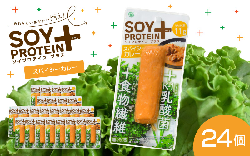 SOY PROTEIN＋ ソイプロテインプラス バータイプ 24個 / スパイシーカレー
