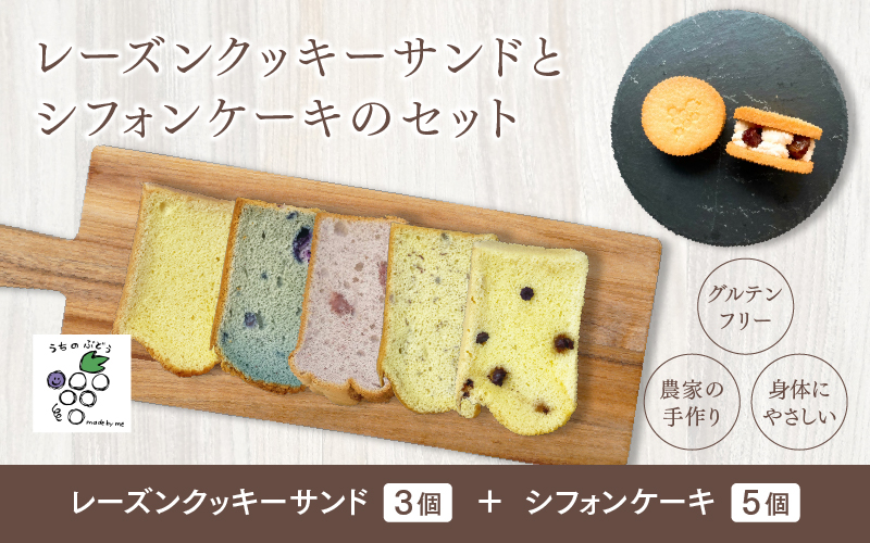 レーズンクッキーサンドとシフォンケーキのセット