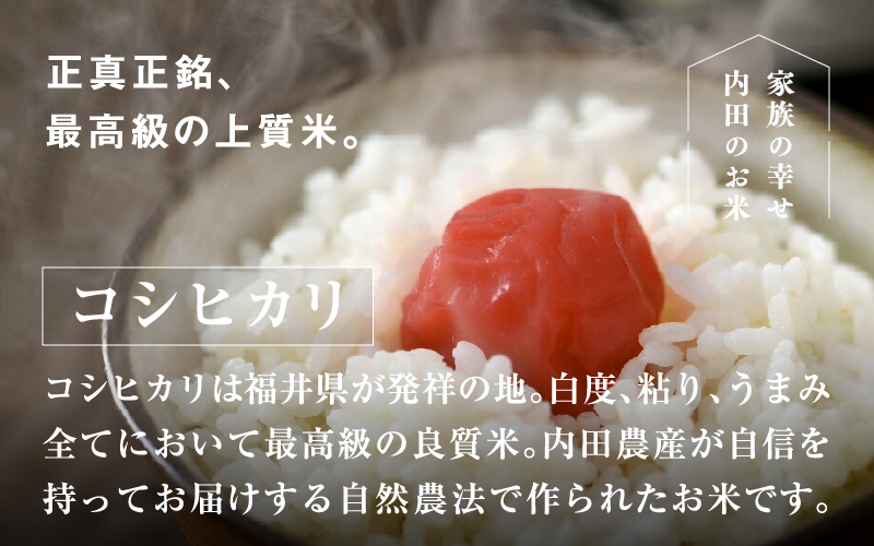 【令和6年産新米】福井県産 内農米 コシヒカリ 5kg  黒米300ｇ 