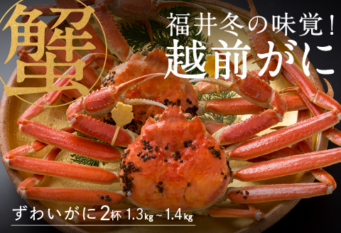 【産地直送】先行予約！福井の冬の王様！越前がに 1.3〜1.4kg × 2杯　2024年11月15日以降発送