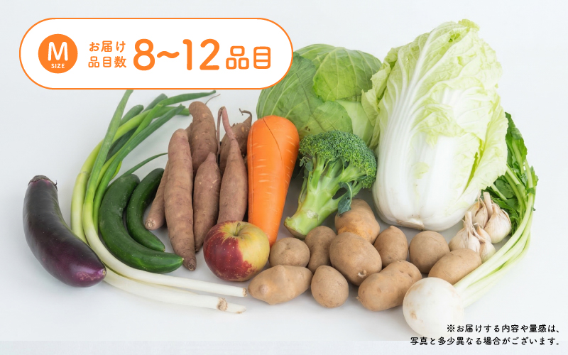 多数のメディアで紹介されました！【訳あり】旬のもったいないお野菜詰め合わせセット Mサイズ