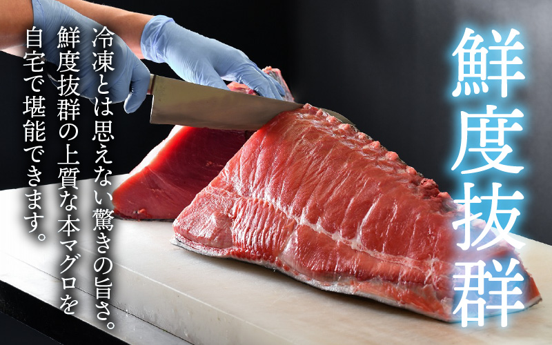 【定期便】 【3ヶ月連続お届け】  刺身用！本マグロ大トロ（柵どり） 500g × 3回【最新の冷凍技術】