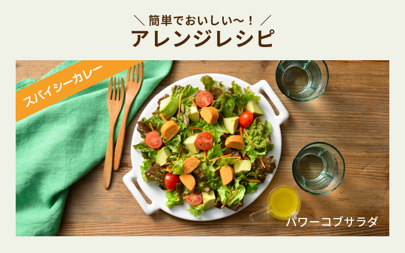 SOY PROTEIN＋ ソイプロテインプラス バータイプ 各フレーバー8個　計24個 / スパイシーカレー / てりやき / 柚子こしょう
