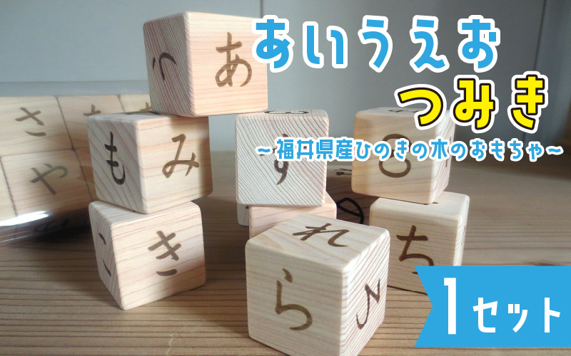 あいうえおつみき～福井県産ひのきの木のおもちゃ～