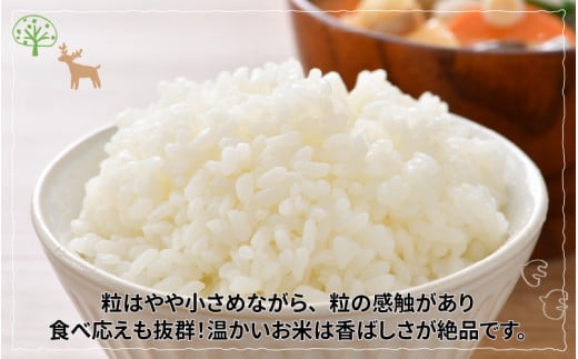 ã什å7幎ç£ããããŒã«èŸ²æ³ ã³ã·ãã«ãªç²Ÿç±³5kg ç空ããã¯