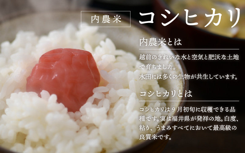 【令和5年産】福井県産 内農米 コシヒカリ 5kg