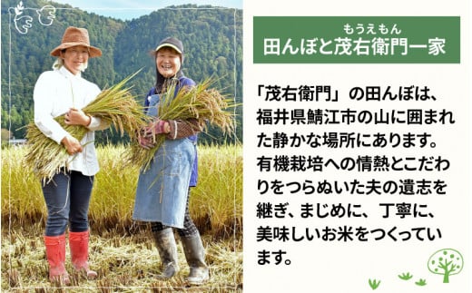 ã什å7幎ç£ããããŒã«èŸ²æ³ ã³ã·ãã«ãªç²Ÿç±³5kg ç空ããã¯