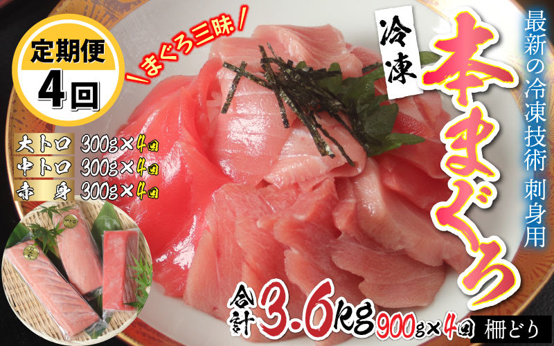 【定期便】【4ヶ月連続お届け】 刺身用！本マグロ堪能セット（柵どり）900g × 4回 【最新の冷凍技術】