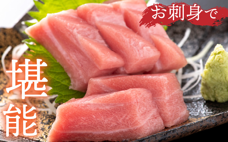 【定期便】 【3ヶ月連続お届け】  刺身用！本マグロ大トロ（柵どり） 500g × 3回【最新の冷凍技術】