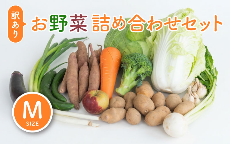 ＜ロスヘル＞多数のメディアで紹介されました！【訳あり】旬のもったいないお野菜詰め合わせセット Mサイズ