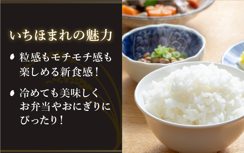 【寄付額見直し】令和7年産 いちほまれ 5kg（5kg × 1袋）