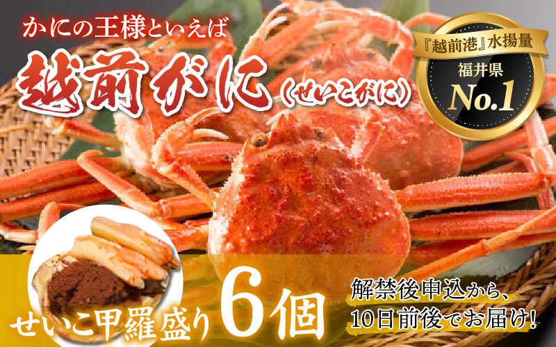 【産地直送】先行予約！ 福井の冬の王様！越前せいこがに甲羅盛り 6個　2024年11月15日以降発送