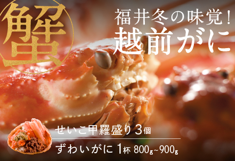 【産地直送】先行予約！ 福井冬の味覚！越前がに（ずわいがに活 800～900g 1杯） ＆ せいこ甲羅盛り3個　2024年11月15日以降発送