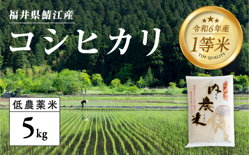 [令和6年産新米]福井県産 内農米 コシヒカリ 5kg 黒米300g 2024年10月以降順次発送!