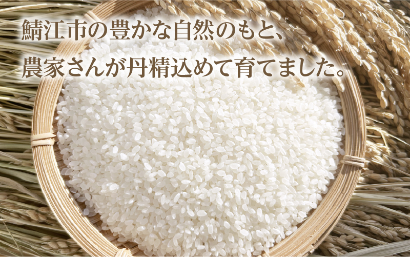 【先行予約】【2026年11月以降順次発送予定】令和8年産 新米 あきさかり 10kg（5kg×2袋）
