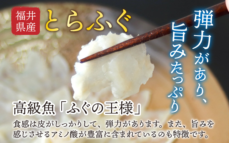 【最新の冷凍技術】福井県産とらふぐのお刺身（てっさ）2人前 約60g