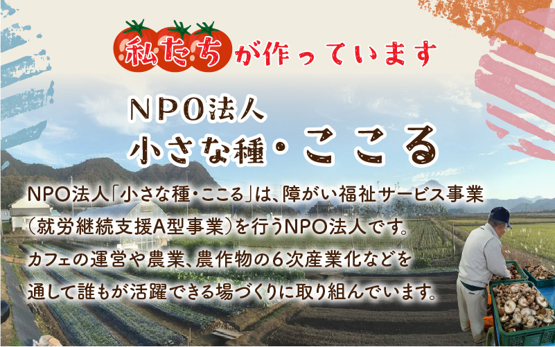 鯖江市産 原木乾燥椎茸「越のてまり」& 越のルビーのトマトカレーセット