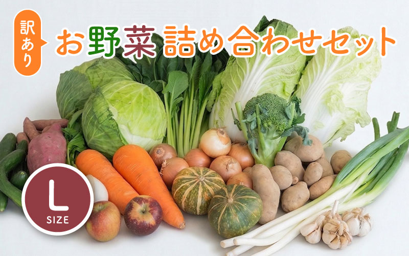 ＜ロスヘル＞多数のメディアで紹介されました！【訳あり】旬のもったいないお野菜詰め合わせセット Lサイズ