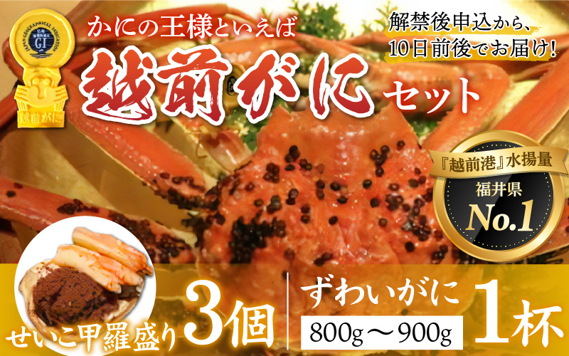 【産地直送】先行予約！ 福井冬の味覚！越前がに（ずわいがに活 800～900g 1杯） ＆ せいこ甲羅盛り3個　2024年11月15日以降発送