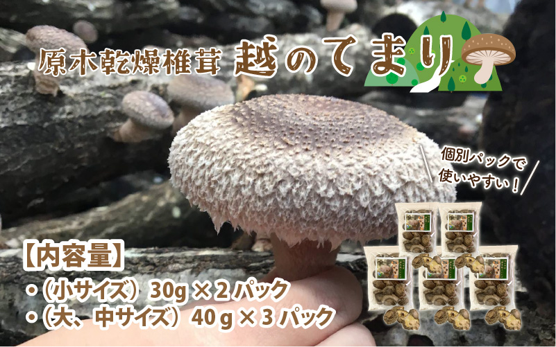 鯖江市産 原木乾燥椎茸「越のてまり」 （大・中サイズ）3パック &（小サイズ）2パック　計5パック