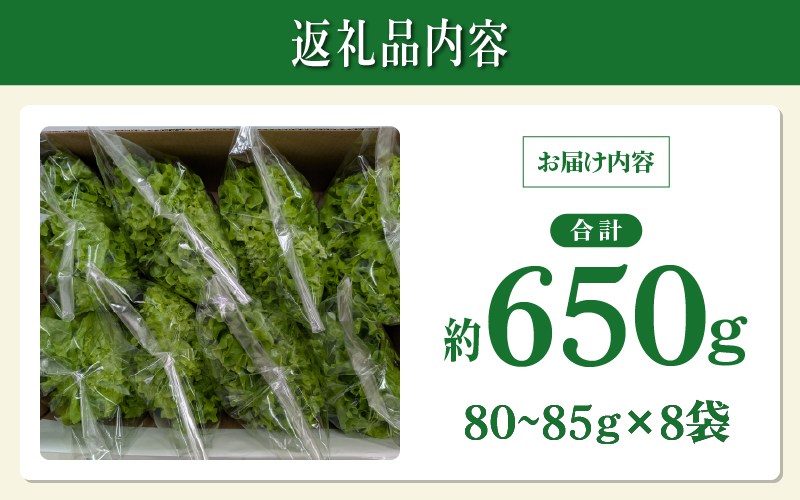 採れたてフレッシュな無農薬リーフレタス 8個入り