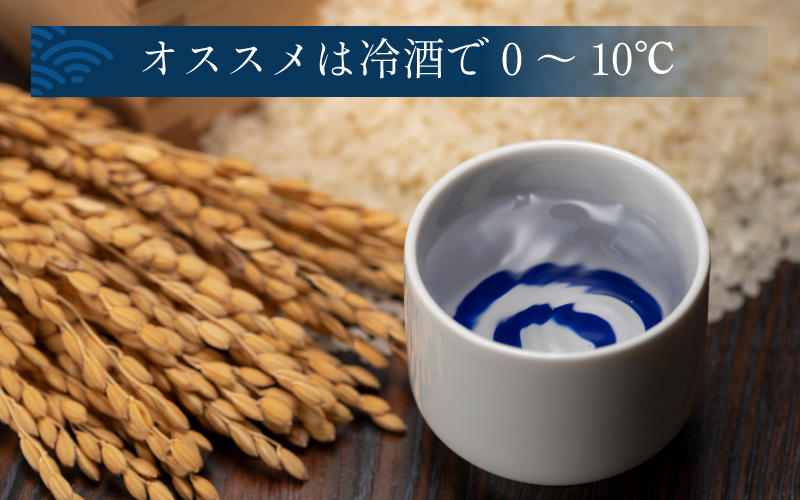 梵・日本の翼　