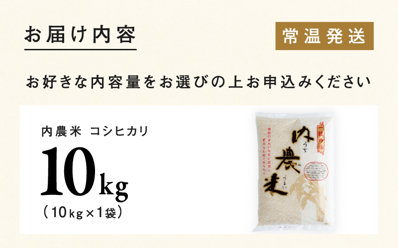 【令和6年産新米】福井県産 内農米 コシヒカリ 10kg　