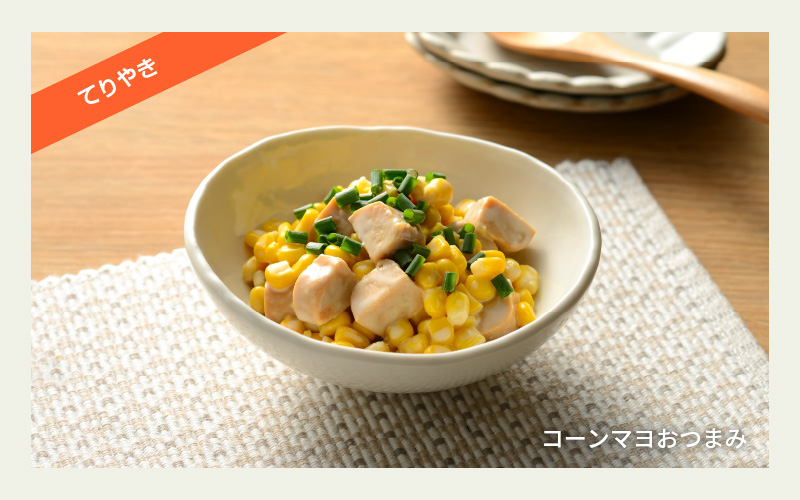 SOY PROTEIN＋ ソイプロテインプラス バータイプ 各フレーバー8個　計24個 / スパイシーカレー / てりやき / 柚子こしょう