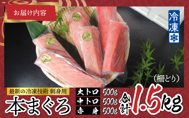 【刺身用】 本マグロセット（大トロ 500g + 中トロ 500g + 赤身 500g）計1.5kg【最新の冷凍技術】