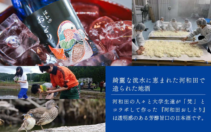 【数量限定】梵コラボ 純米大吟醸 地酒『河和田おしどり』