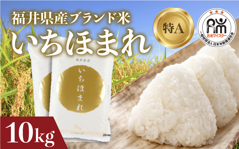 【寄付額見直し】令和7年産 いちほまれ 10kg（5kg × 2袋）×1回