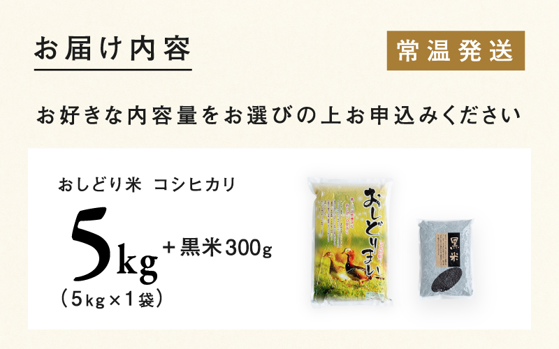 【令和6年産新米】福井県産 おしどり米 コシヒカリ 5kg  黒米300ｇ  