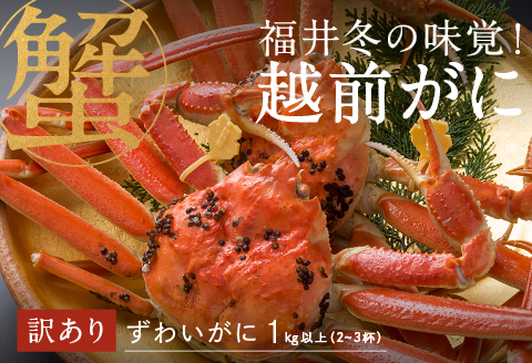 【産地直送】先行予約！福井の冬の王様！【訳あり】越前がに 合計1kg以上（2〜3杯）2〜3人前　2024年11月15日以降発送