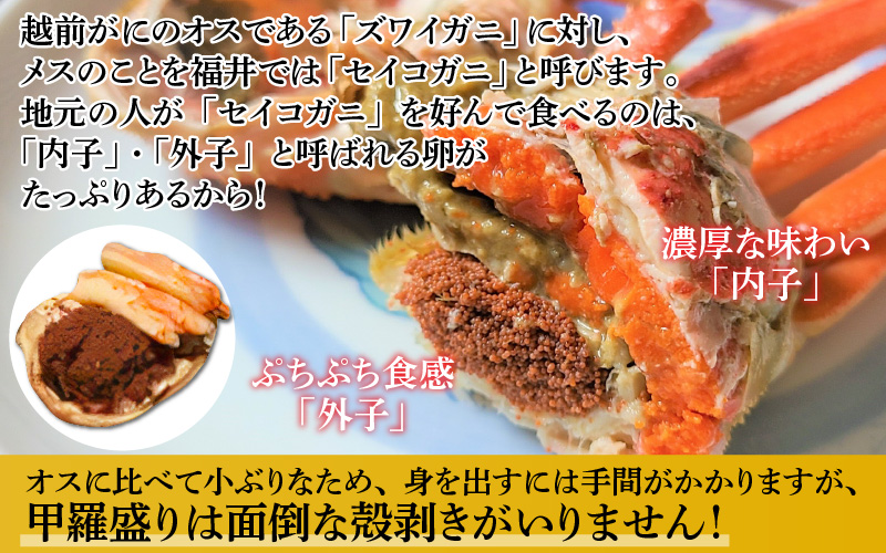 【産地直送】先行予約！ 福井冬の味覚！越前がに（ずわいがに活 800～900g 1杯） ＆ せいこ甲羅盛り3個　2024年11月15日以降発送