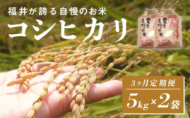 令和6年産　コシヒカリ　定期便（3ヶ月連続お届け）計30kg（(5kg × 2袋) × 3ヶ月）