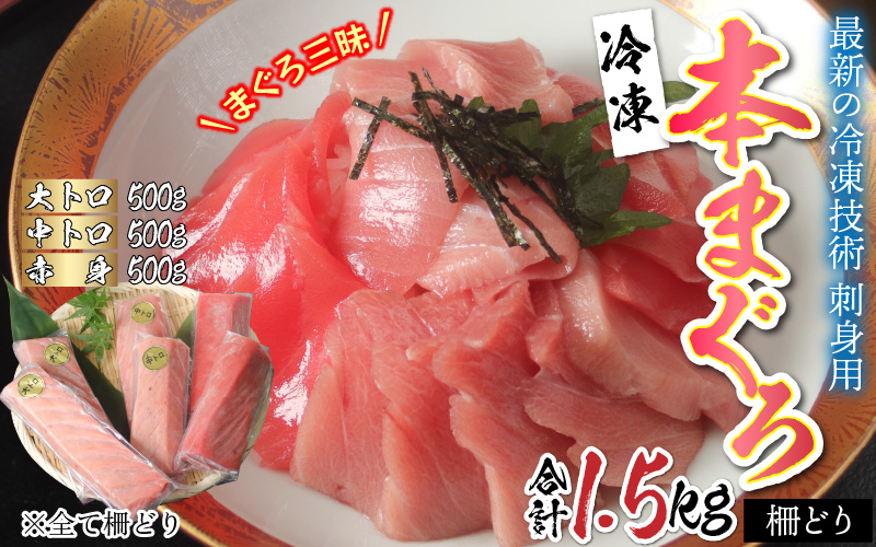 【刺身用】 本マグロセット（大トロ 500g + 中トロ 500g + 赤身 500g）計1.5kg【最新の冷凍技術】