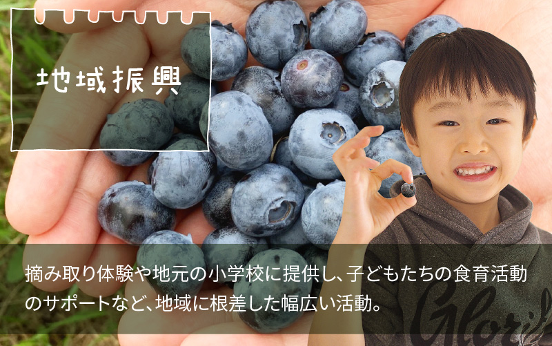 【訳あり】令和6年産〈冷凍〉手摘み有機ブルーベリー1kg（500g × 2パック）