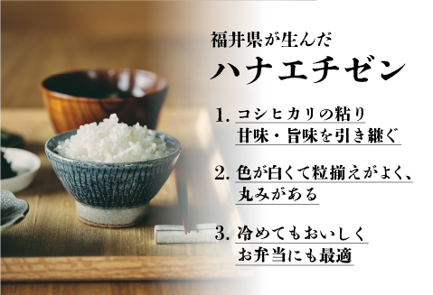 【令和5年産】【食べ比べ】鯖江のお米食べ比べセットコシヒカリ4kg　ハナエチゼン4kg　あきさかり4kg　( 4kg ×3袋）