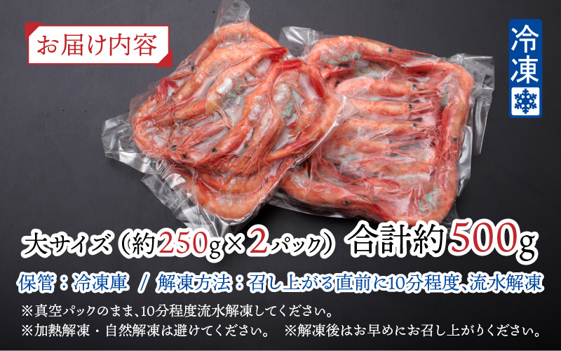 【越前産】【小分け】冷凍甘えび大サイズ 約250g × 2パック 合計約500g（30尾～40尾）