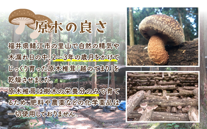 鯖江市産 原木乾燥椎茸「越のてまり」 （大・中サイズ）3パック &（小サイズ）2パック　計5パック