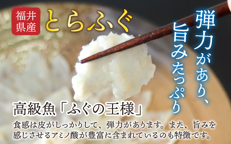 【最新の冷凍技術】福井県産とらふぐのお刺身（てっさ）6人前 約180g
