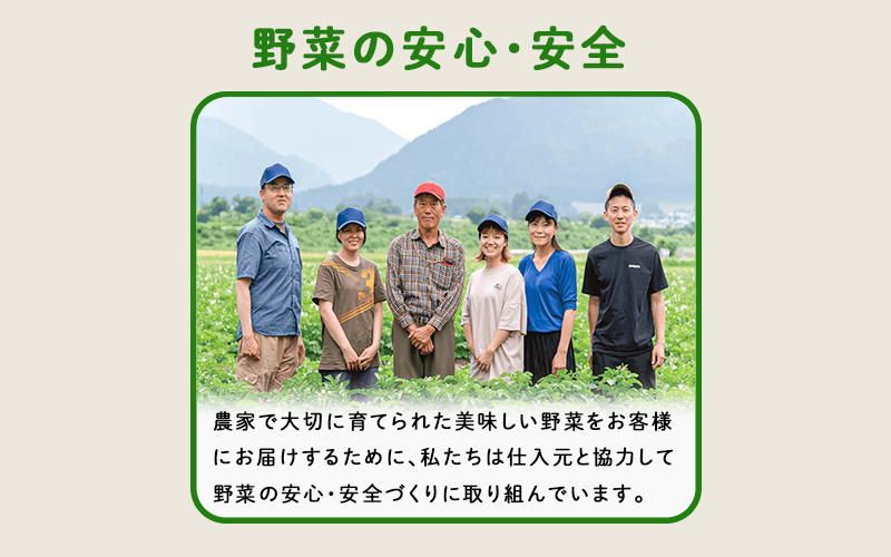 多数のメディアで紹介されました！【訳あり】旬のもったいないお野菜詰め合わせセット