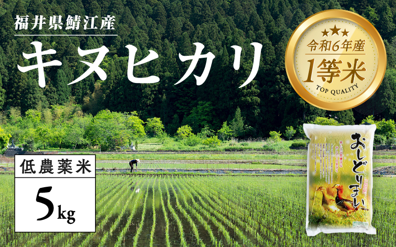 【令和6年産新米】福井県産 おしどり米 キヌヒカリ 5kg  黒米300ｇ 