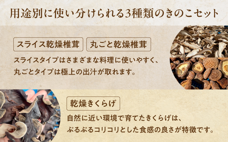 魃匁ア滄國繧悟ョカ縺阪ョ縺薙ョ荵セ辯・縺阪ョ縺難シ鍋ィョ繧サ繝繝
