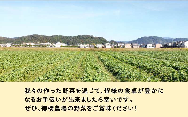 おろしそばに最適! 福井県産 辛味大根 2kg